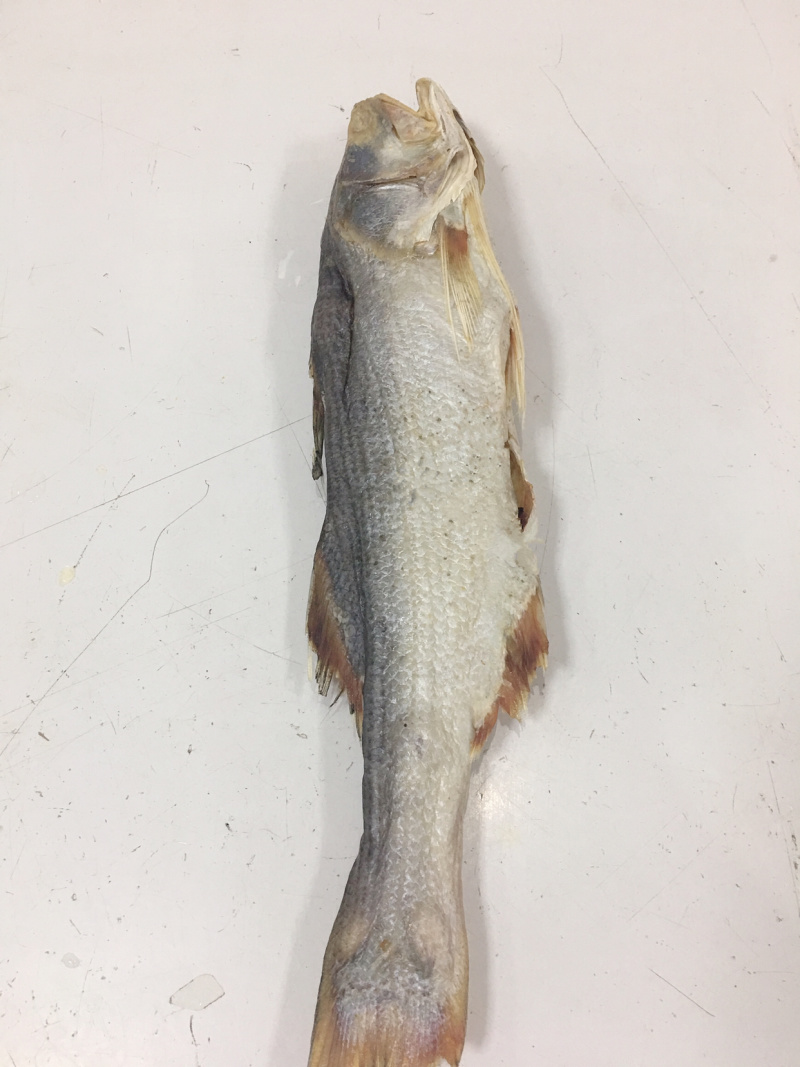 马友咸鱼