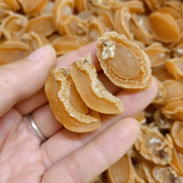 鲍鱼干
