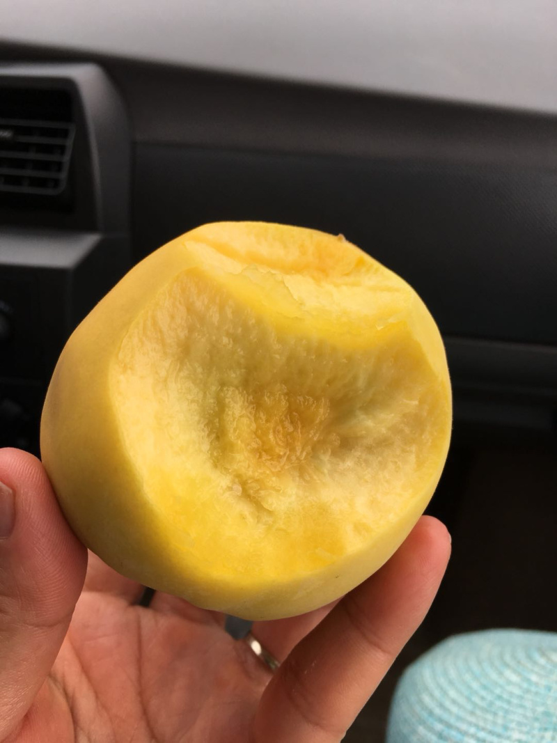 50万斤黄金冠黄桃