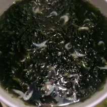 紫菜