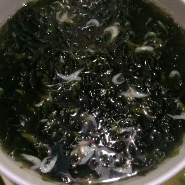 紫菜