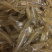 小鱼干