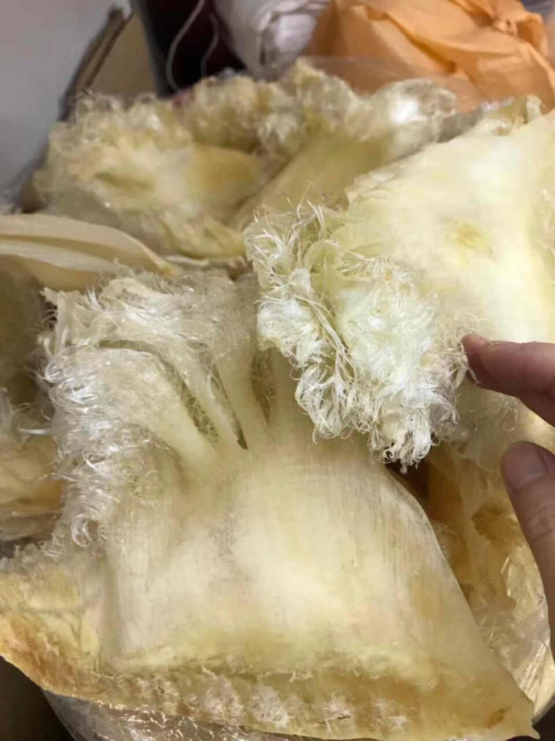 鱼翅，只翅花