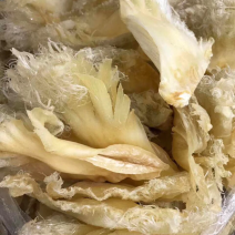 鱼翅，只翅花