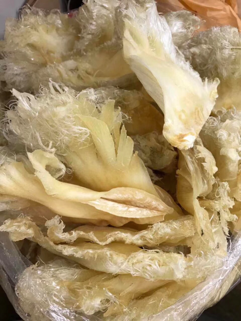 鱼翅，只翅花