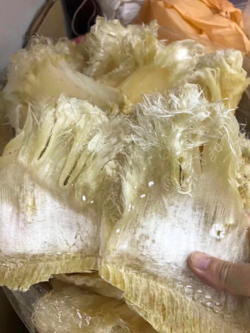 鱼翅，只翅花