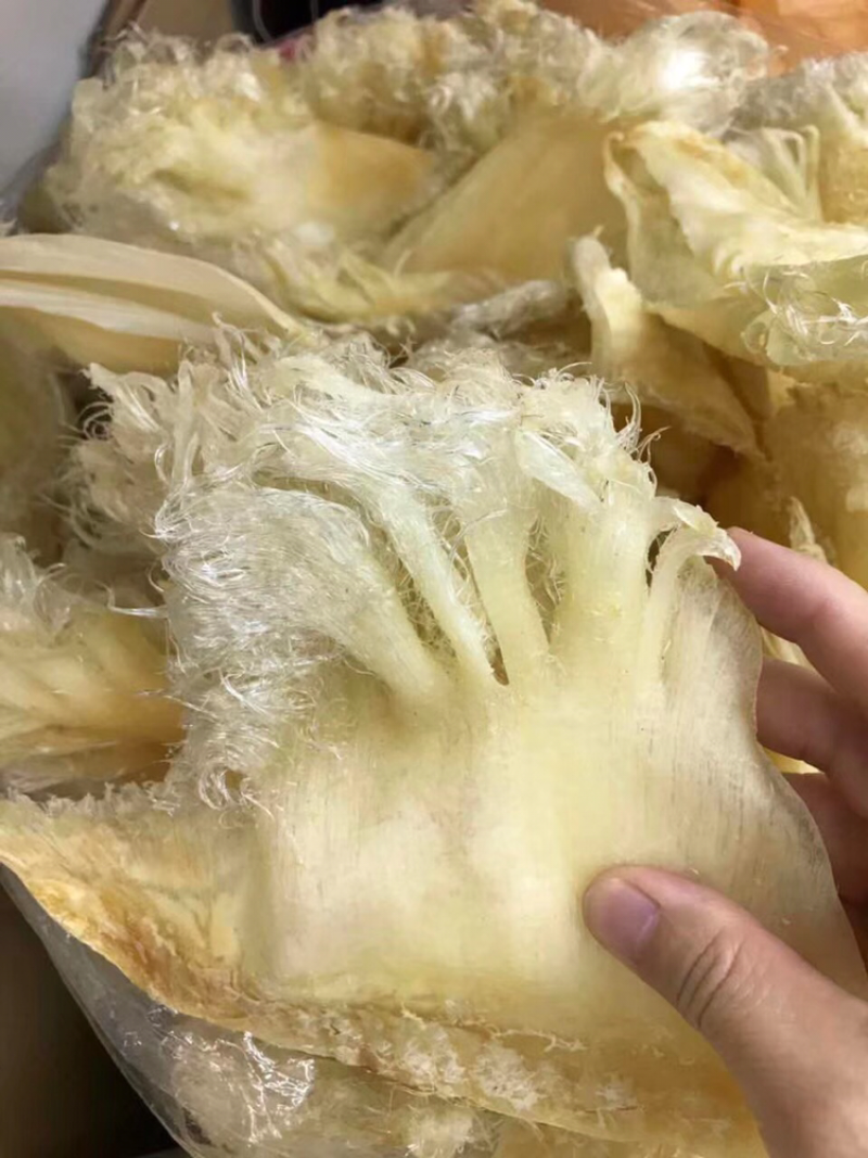 鱼翅，只翅花