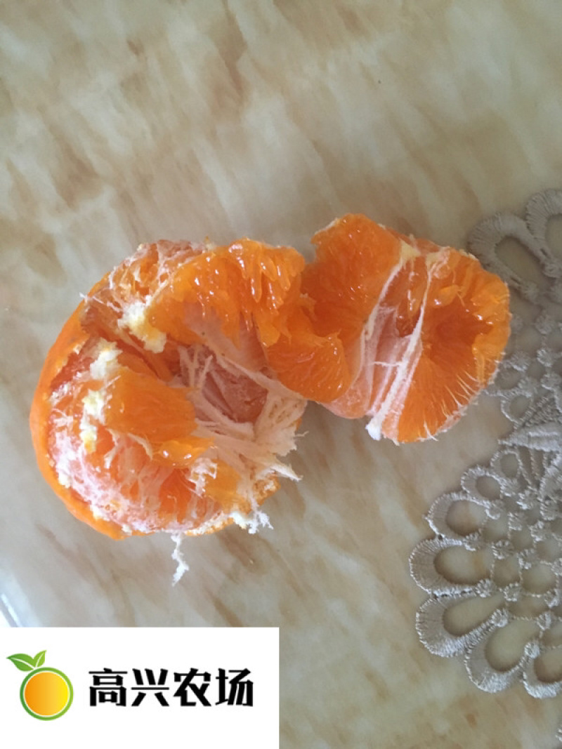 明日见柑橘象山明日见橘子象山高糖度品种