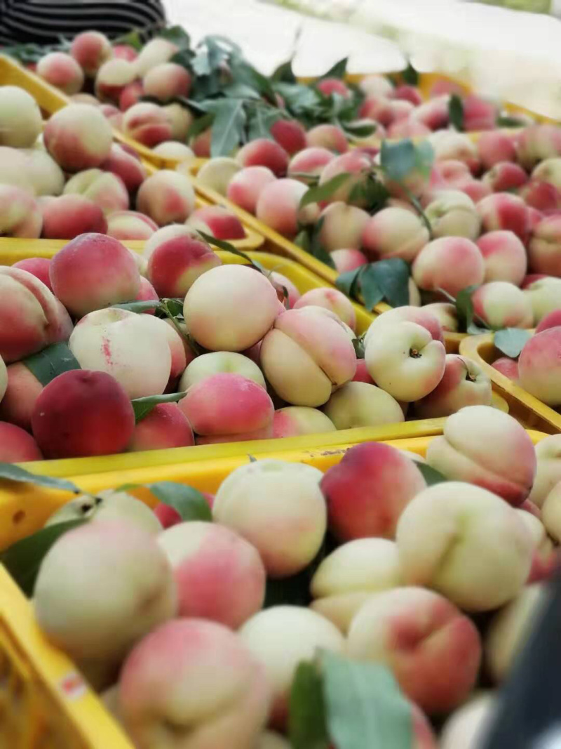 皮球桃