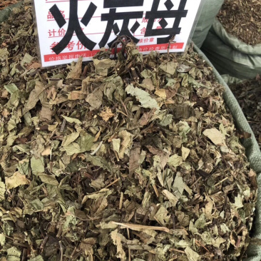 新货火炭母颜色可以条子都有