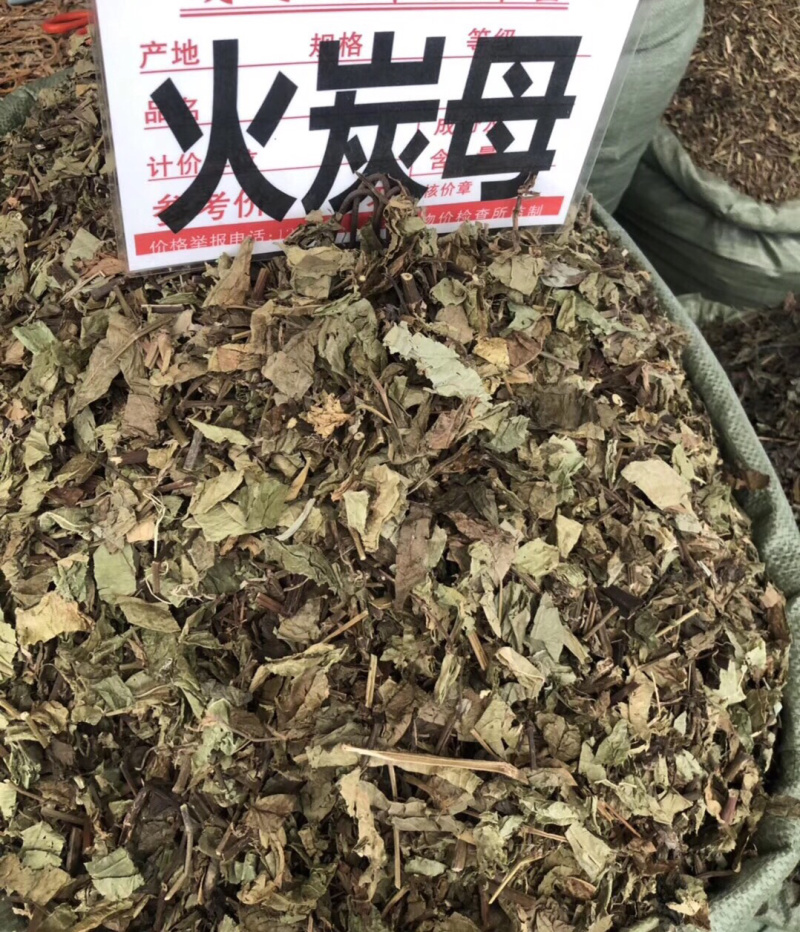 新货火炭母颜色可以条子都有