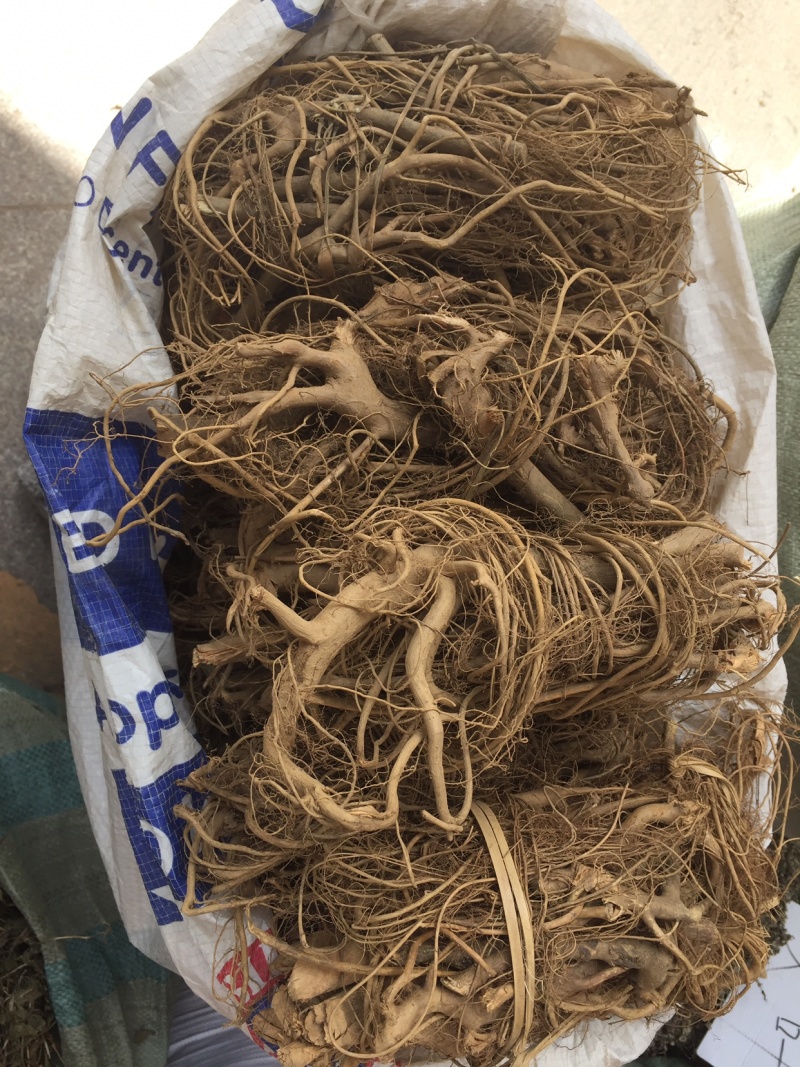 白花牛奶根新货足干