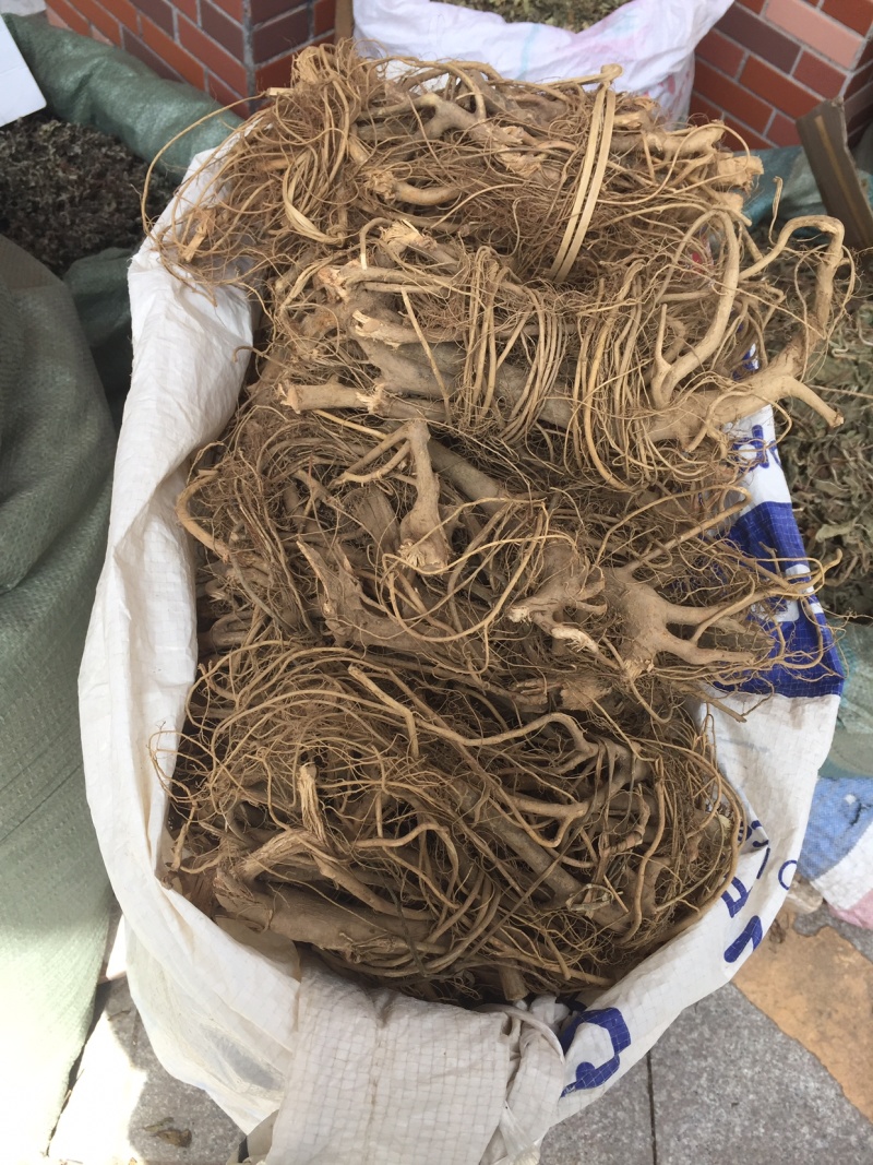 白花牛奶根新货足干