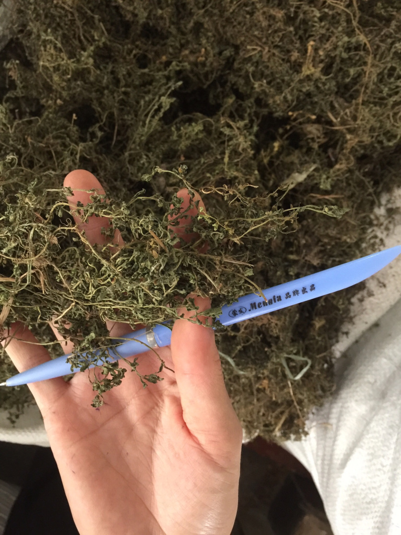 鹅不食草野生足干