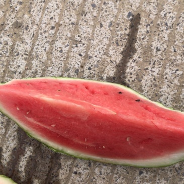 8424