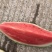 8424