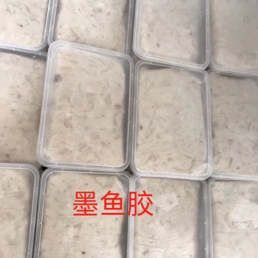 墨鱼胶