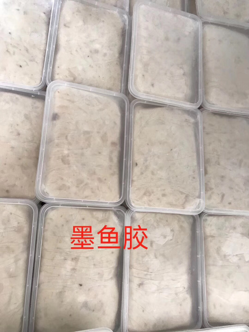 墨鱼胶