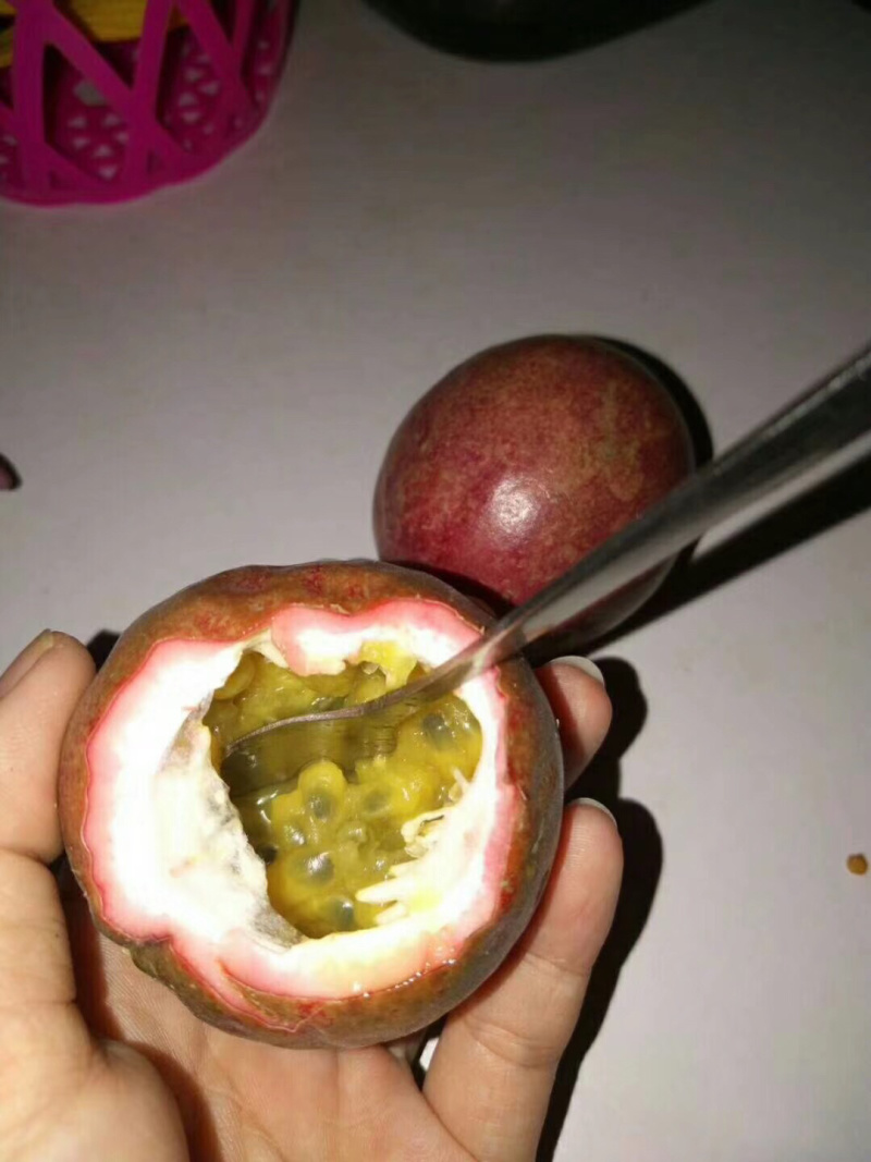紫色百香果