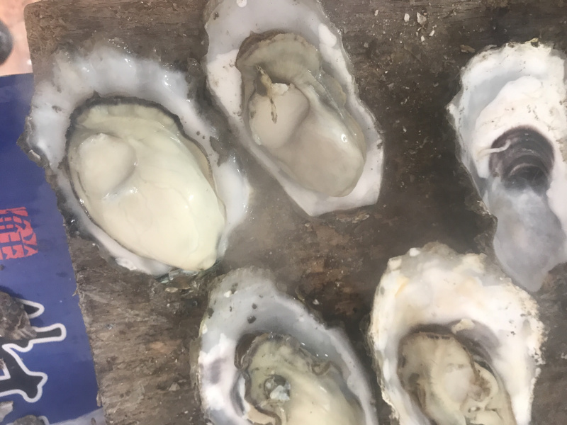 生蚝海蛎子