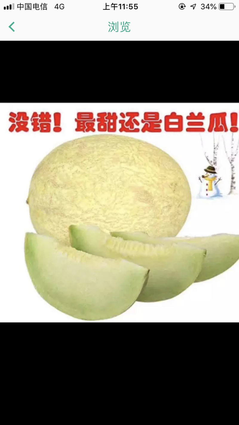 甘肃玉门甜瓜