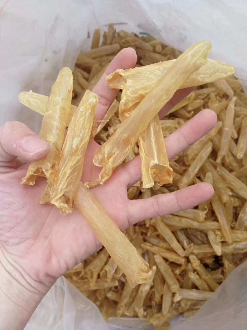 黄花胶