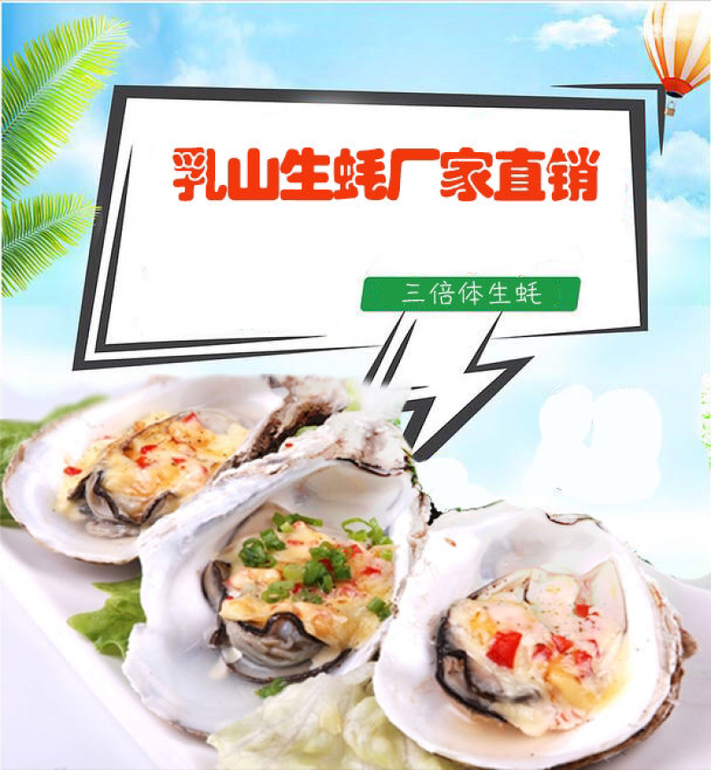 鲜活乳山三倍体生蚝4-5两净蚝