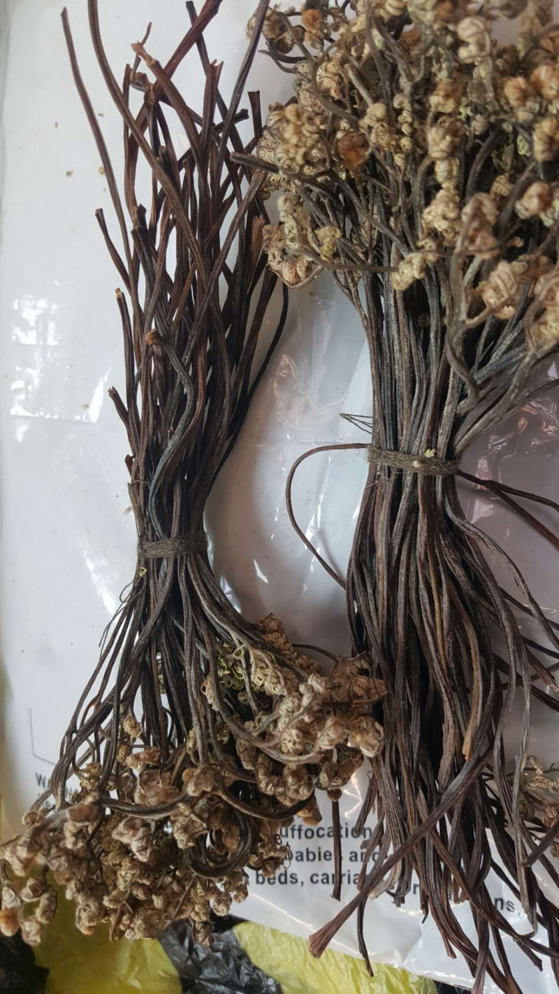 蕨菜干