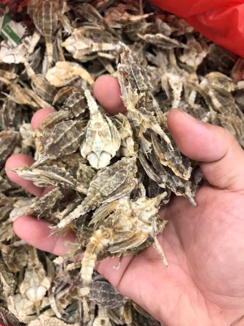 海燕子，新鲜淡干/斤