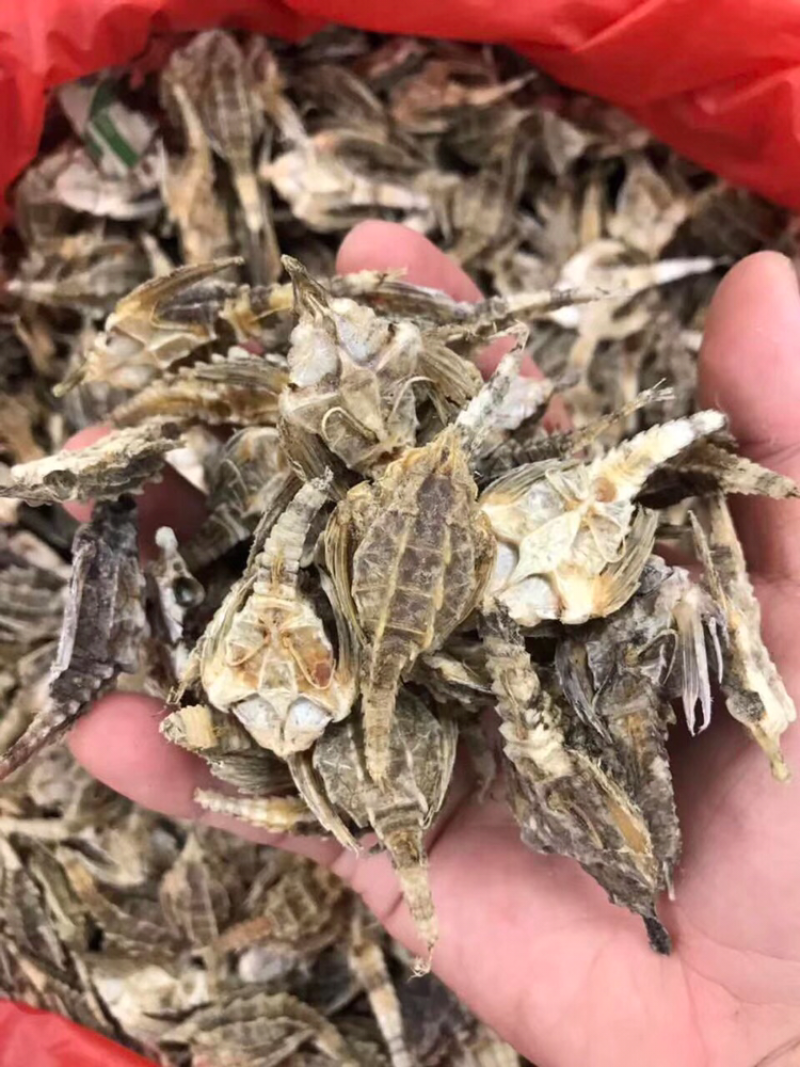 海燕子，新鲜淡干/斤