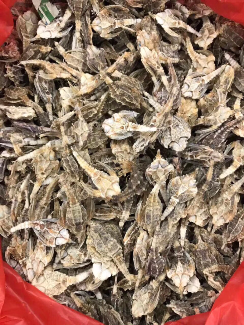 海燕子，新鲜淡干/斤