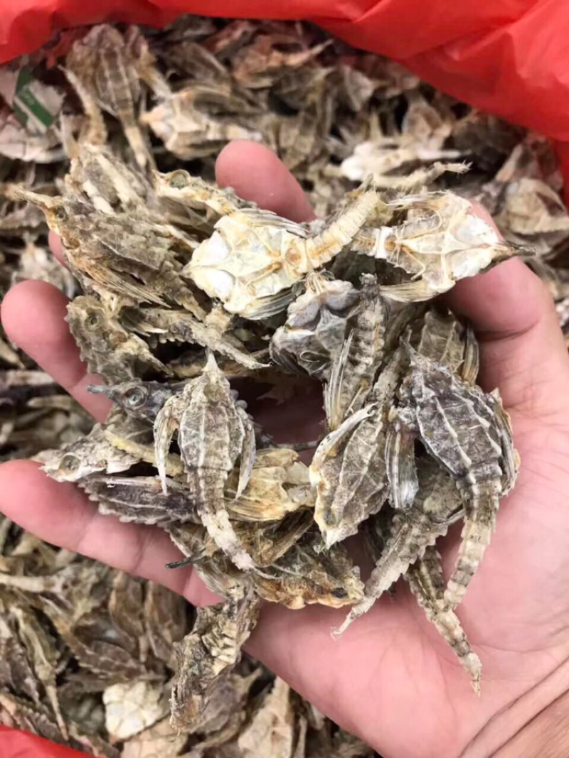 海燕子，新鲜淡干/斤
