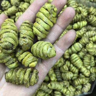 巨大石斛