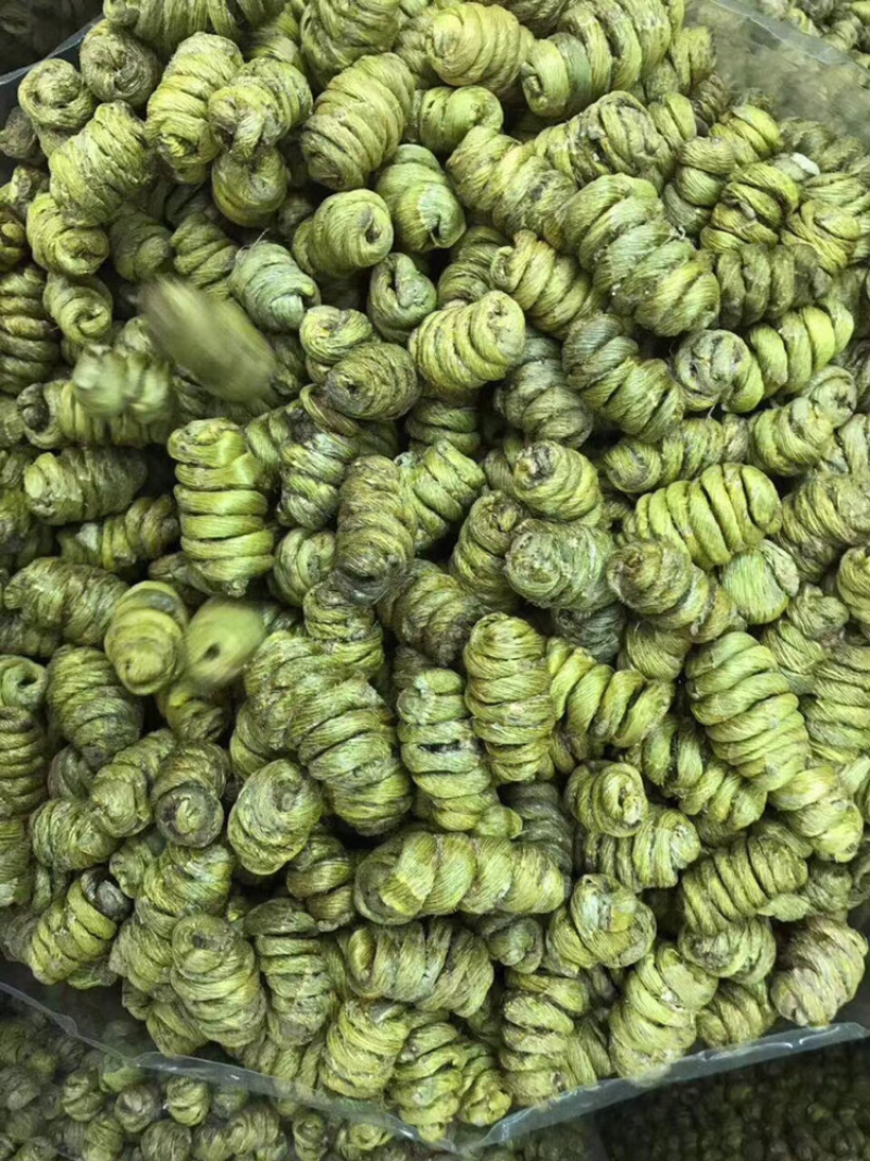 巨大石斛