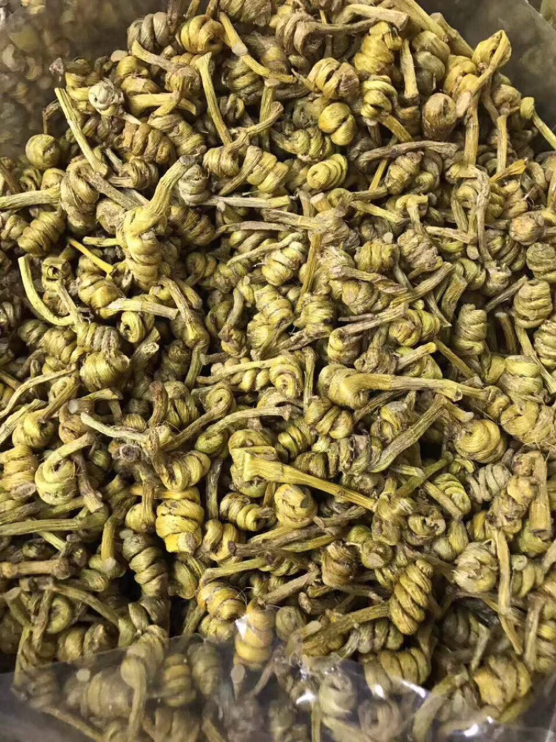 石斛，水草龙头凤尾精选货