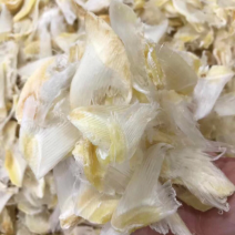 小鱼翅干度好新鲜淡干食用方便批发一件代发