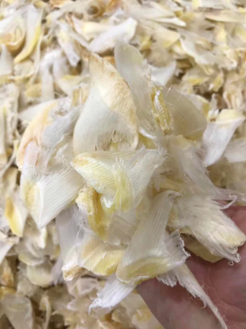 小鱼翅干度好新鲜淡干食用方便批发一件代发