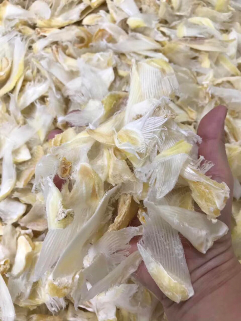 小鱼翅干度好新鲜淡干食用方便批发一件代发