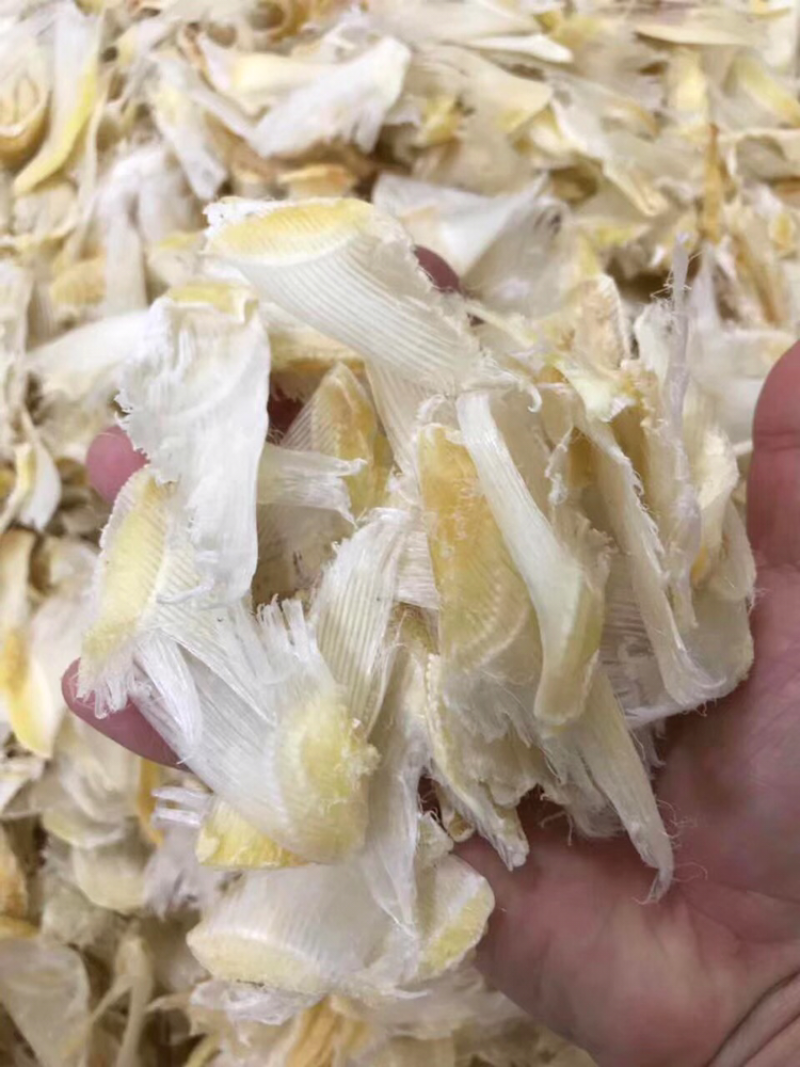 小鱼翅干度好新鲜淡干食用方便批发一件代发