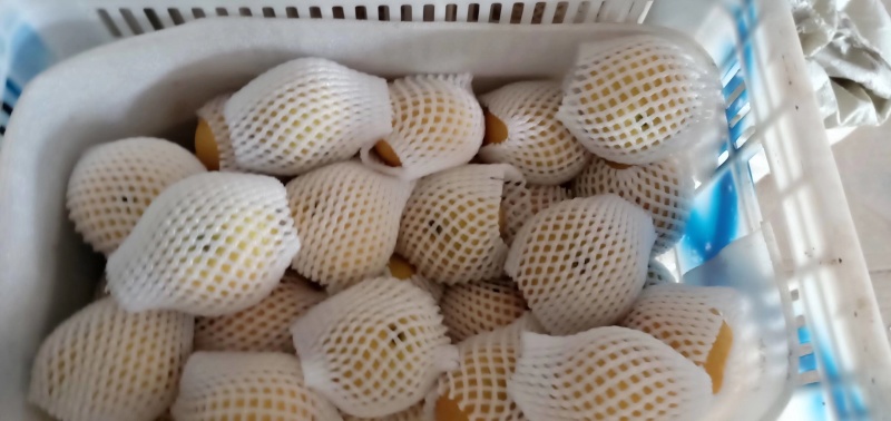 水果