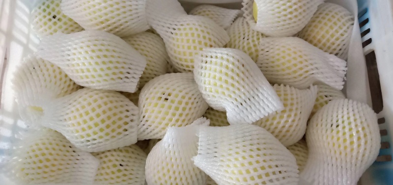 水果