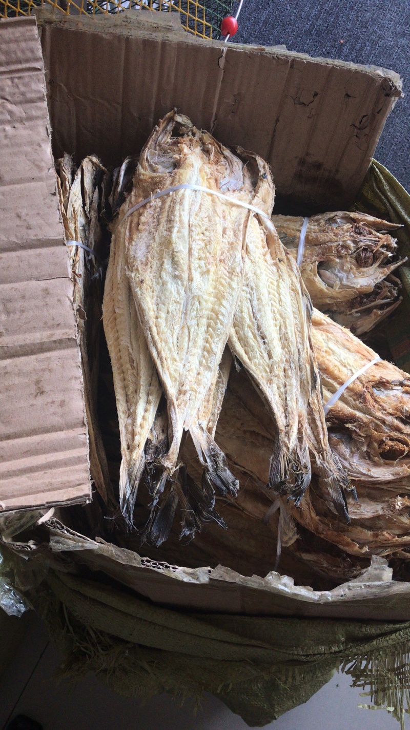 明太鱼各种规格价格美丽