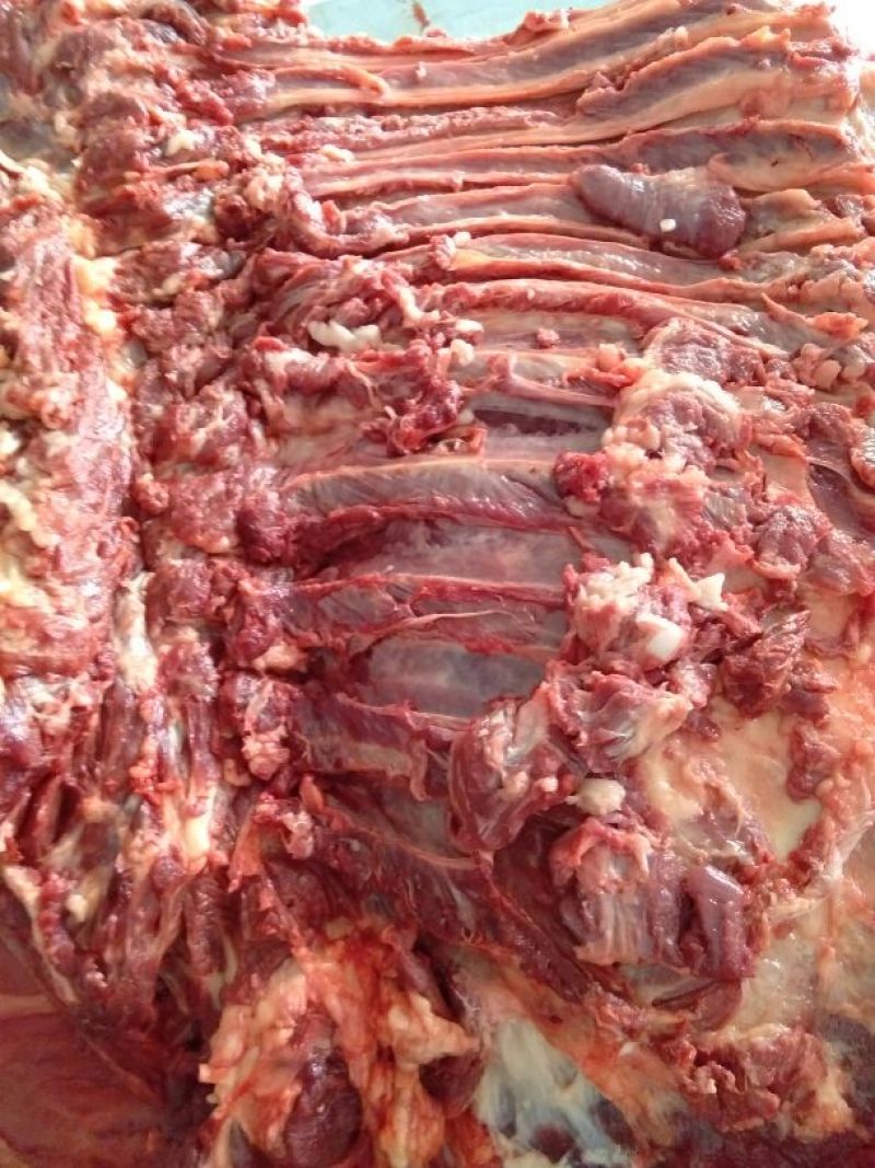 马肉鲜货