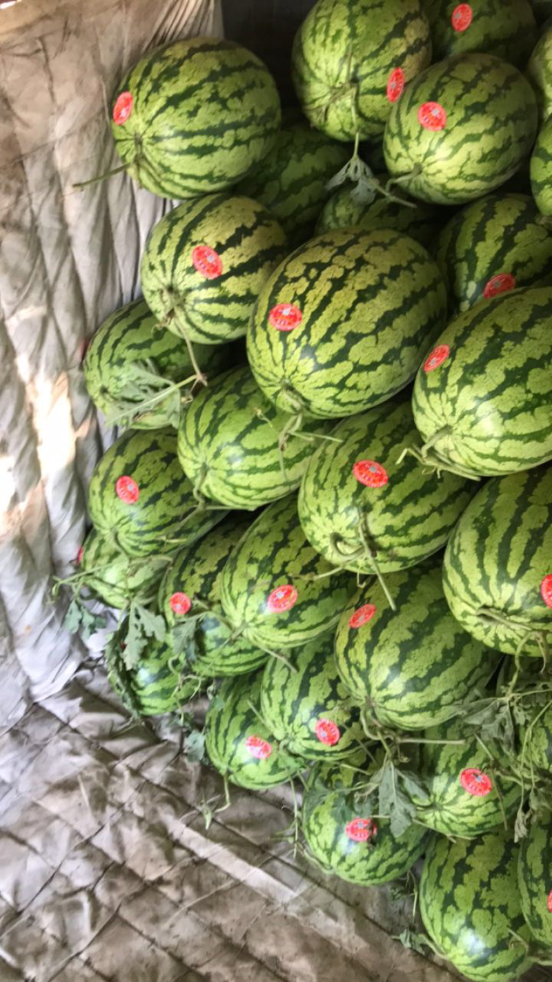西瓜