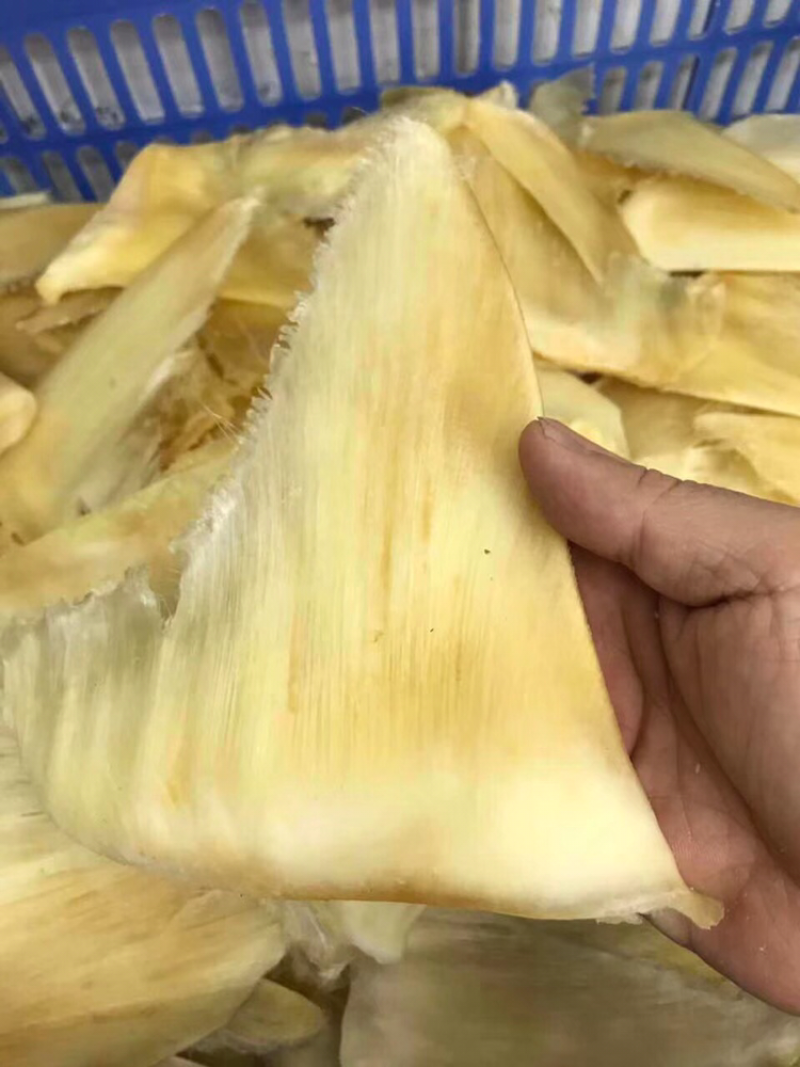鱼翅，勿骨金勾6～8寸/斤装
