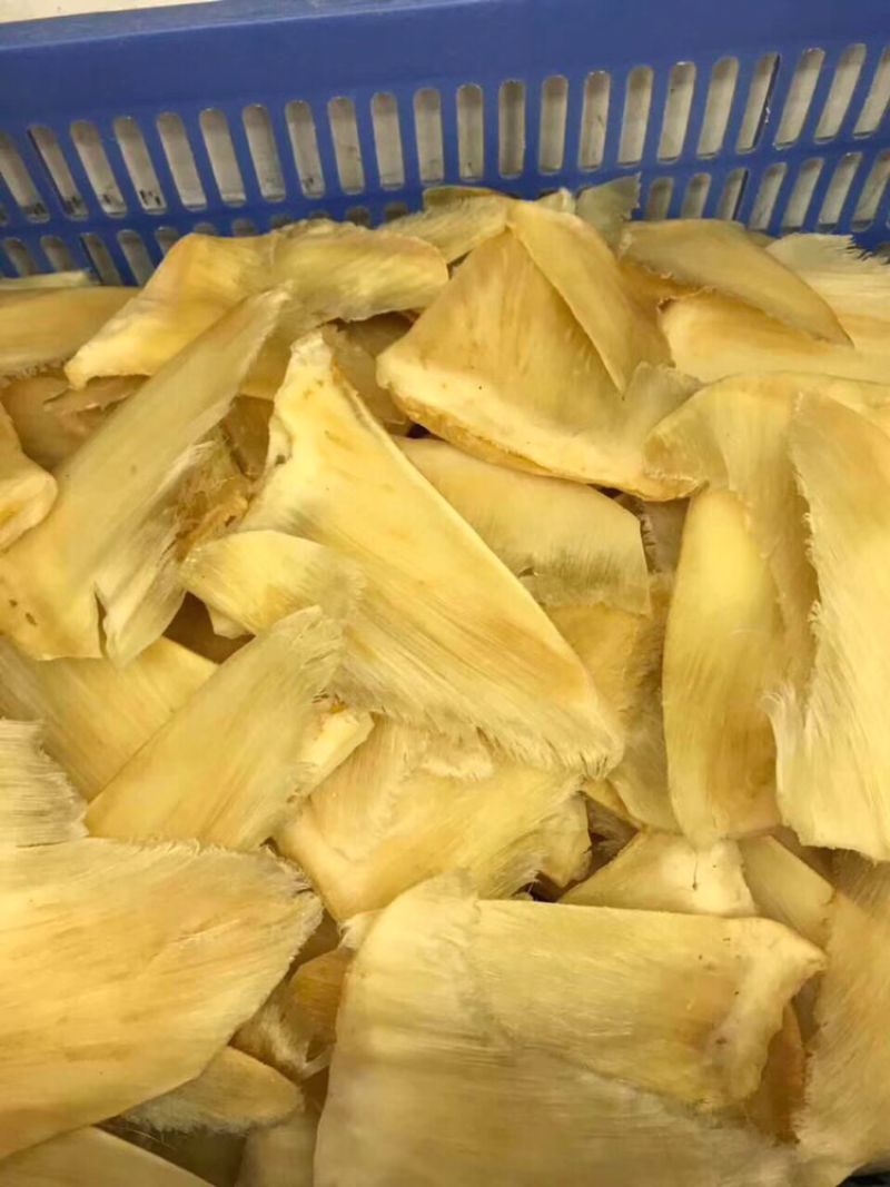 鱼翅，勿骨金勾6～8寸/斤装