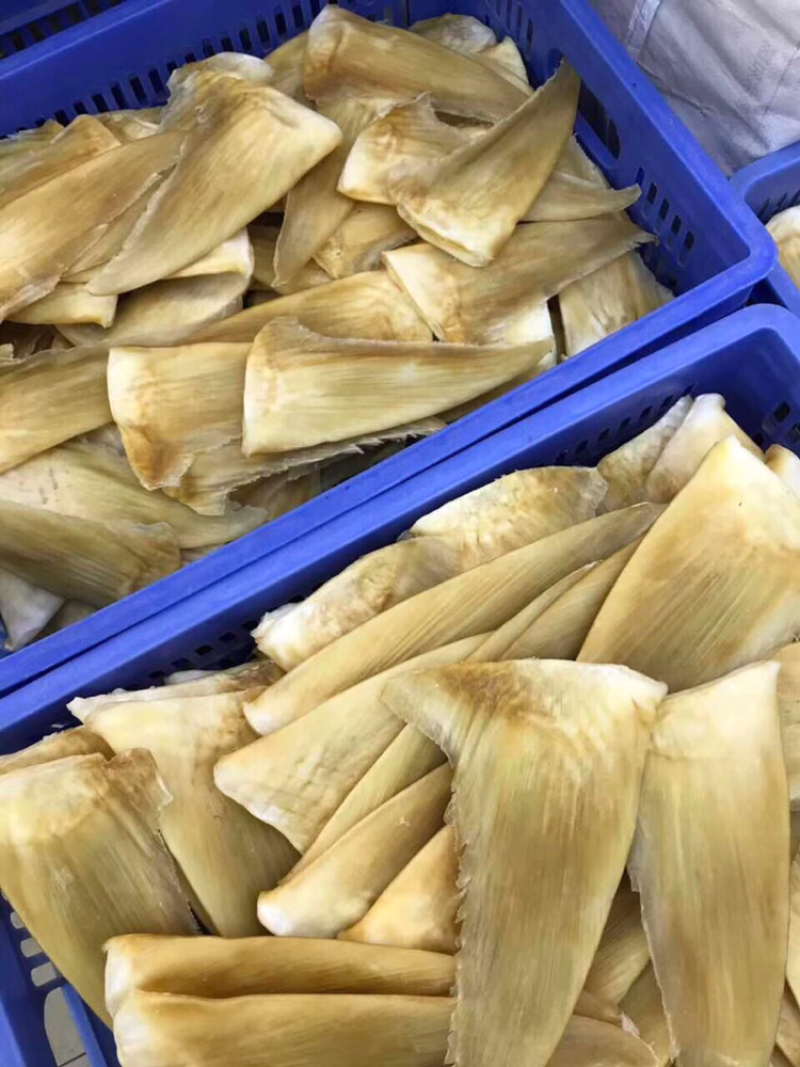 鱼翅，茶勾金勾8～10寸/斤