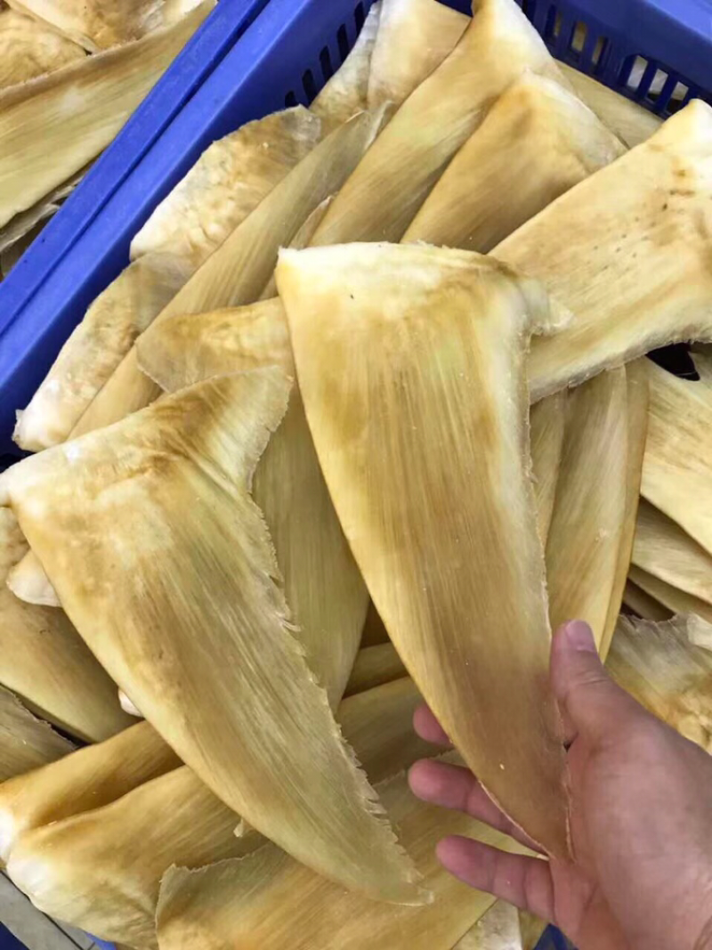 鱼翅，茶勾金勾8～10寸/斤
