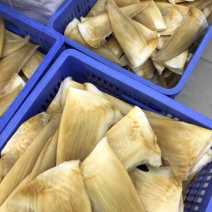 鱼翅，茶勾金勾8～10寸/斤