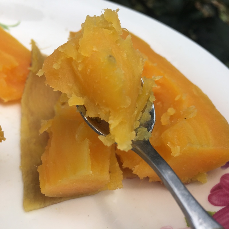 黄心蜜薯地瓜龙薯9号小香薯电商微商专供一件代发5斤